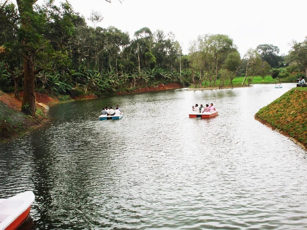 Pedal boats out on the lake at the boat house