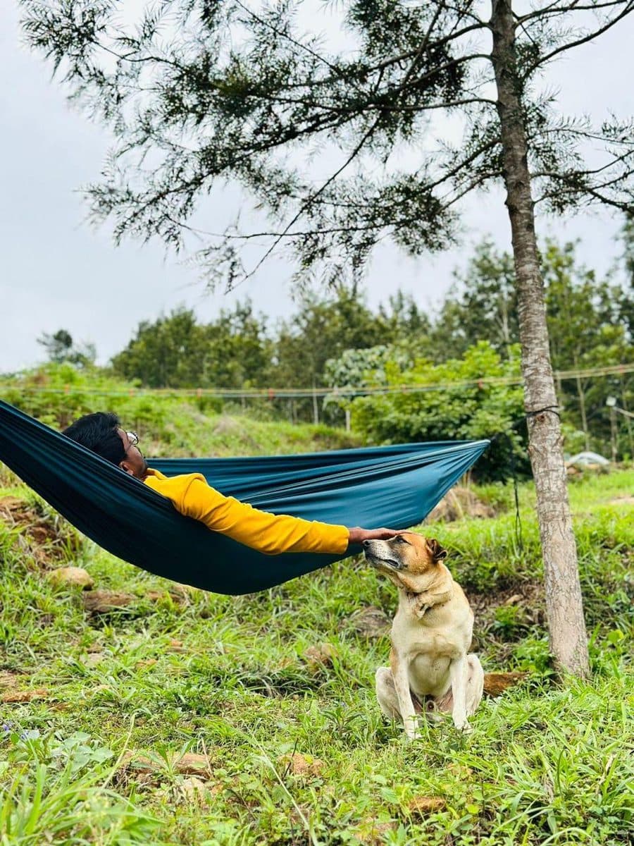 A rider in a hammock saying hello to the camp dog