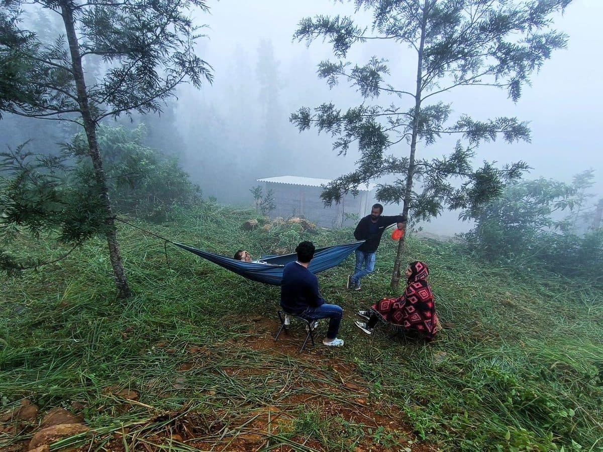 Hammocks strung between trees in thick fog
