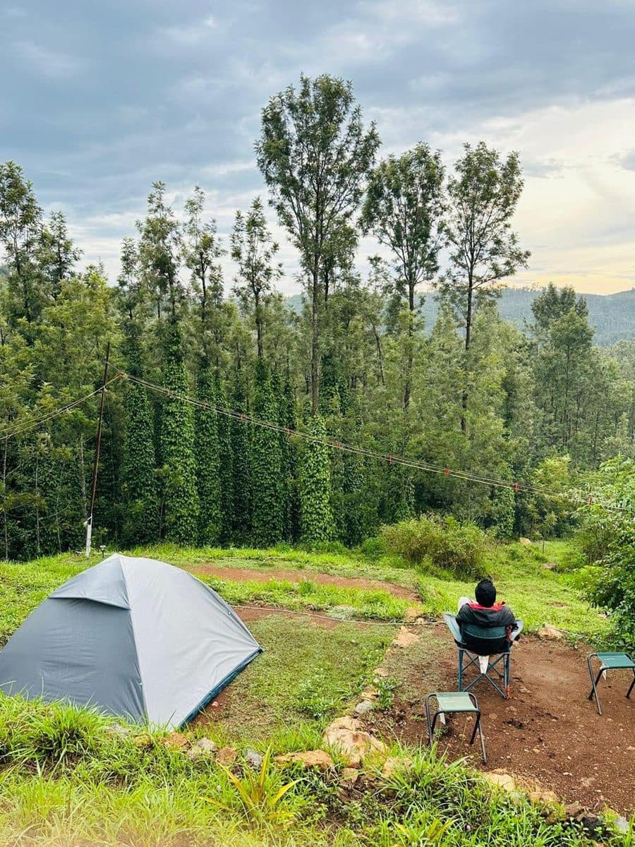 A tent pitched facing the forest and the hills beyond