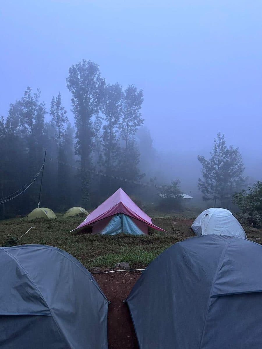 Tents pitched in early morning mist